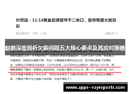 赵鹏深度剖析欠薪问题五大核心要点及其应对策略